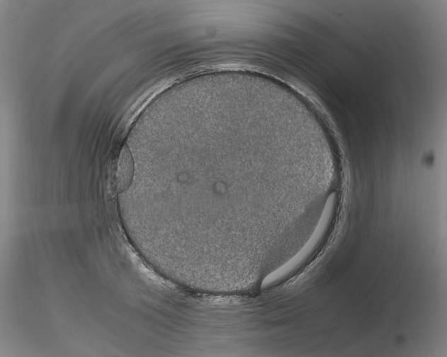 X0000116120801201001040949