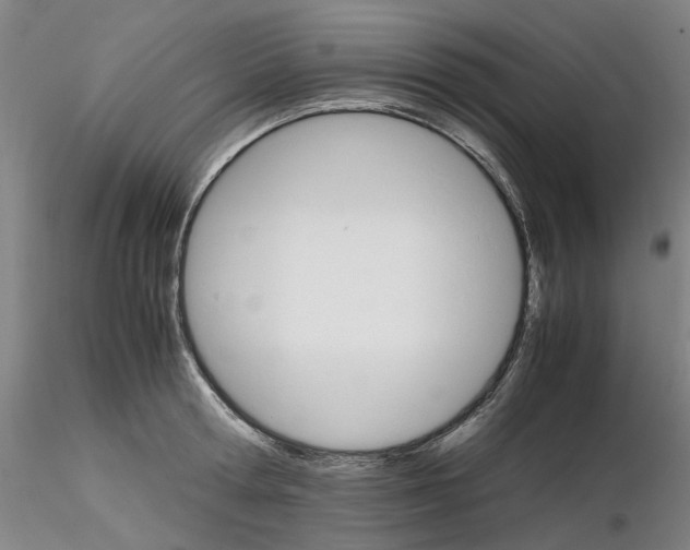 X0000116120802201001040949