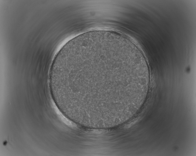 X0000116120803201001040949