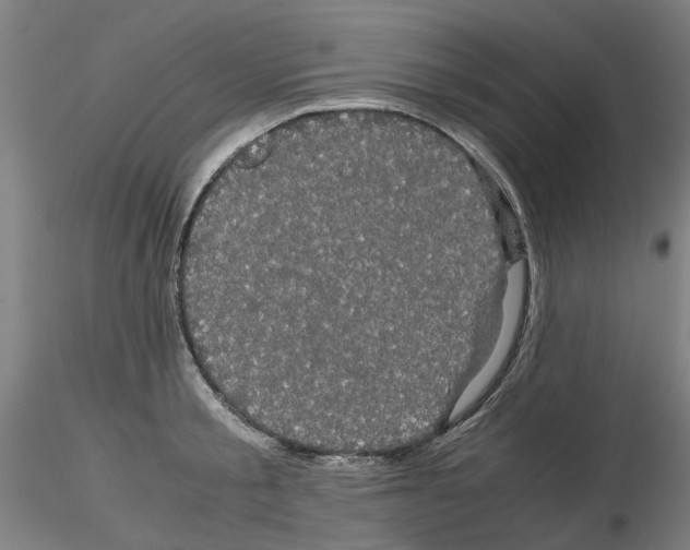 X0000116120805201001040949