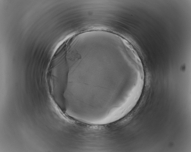 X0000116120806201001040949