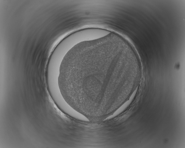X0000116120807201001040949