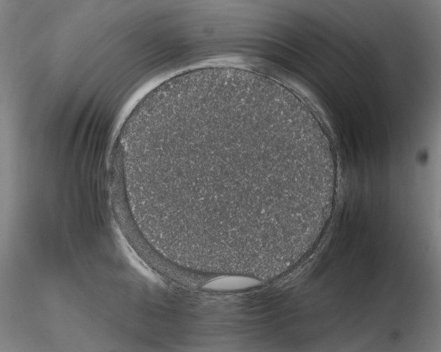 X0000116120808201001040949
