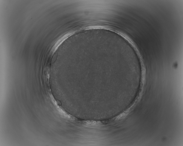 X0000116120809201001040949