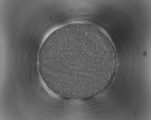 X0000116120811201001040949