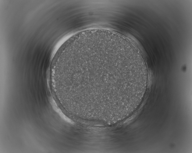 X0000116120812201001040949