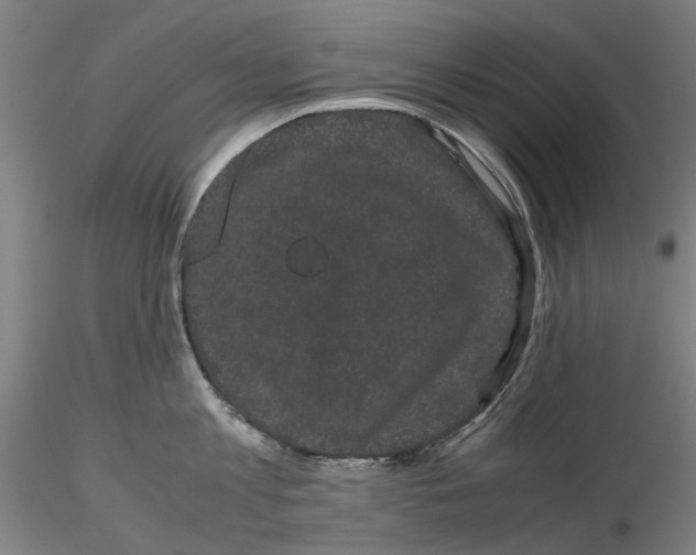 X0000116120813201001040949