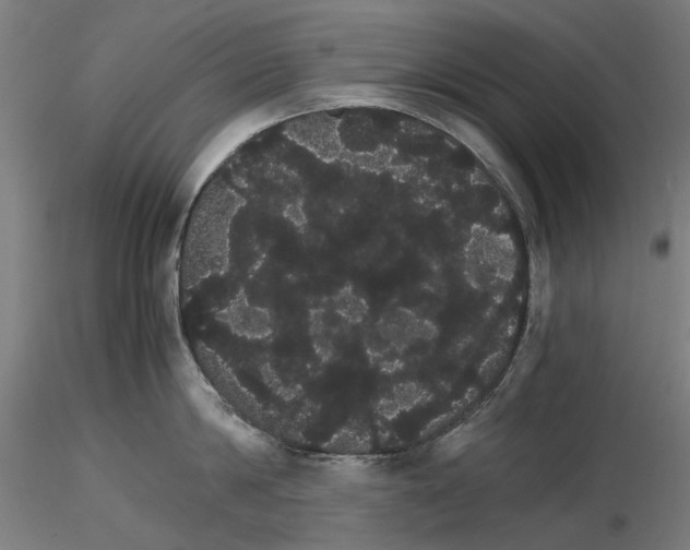X0000116120814201001040949