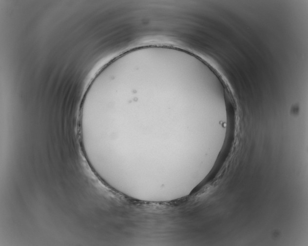 X0000116120815201001040949