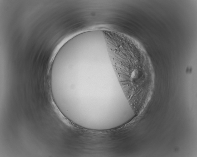 X0000116120816201001040949