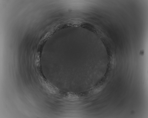 X0000116120818201001040948