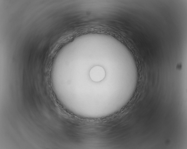 X0000116120820201001040948