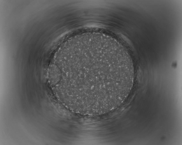 X0000116120821201001040948