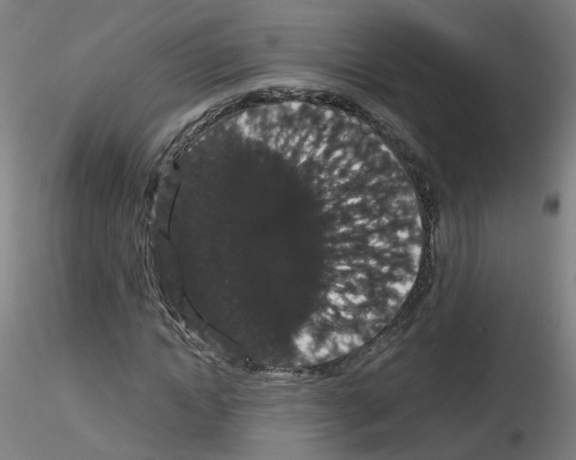 X0000116120822201001040948