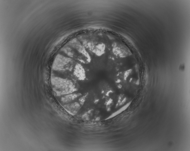 X0000116120823201001040948