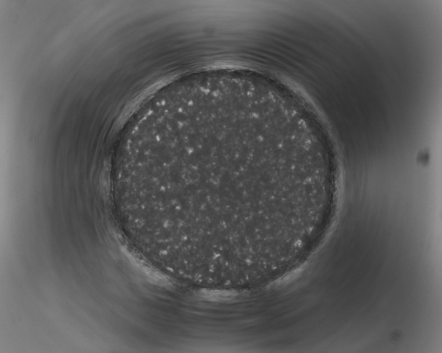 X0000116120825201001040948