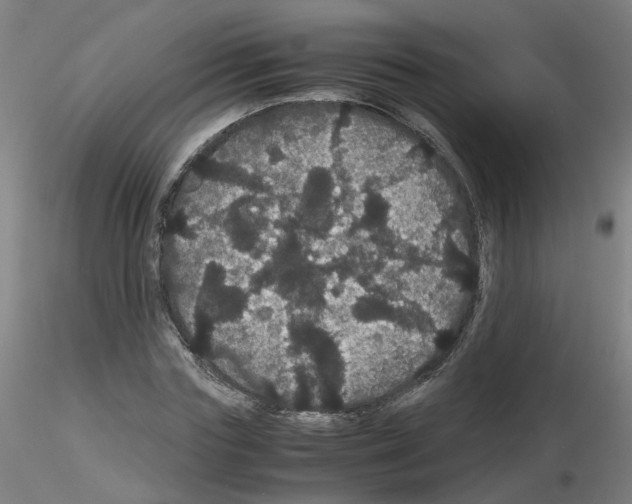 X0000116120827201001040948