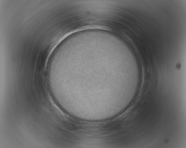 X0000116120828201001040948