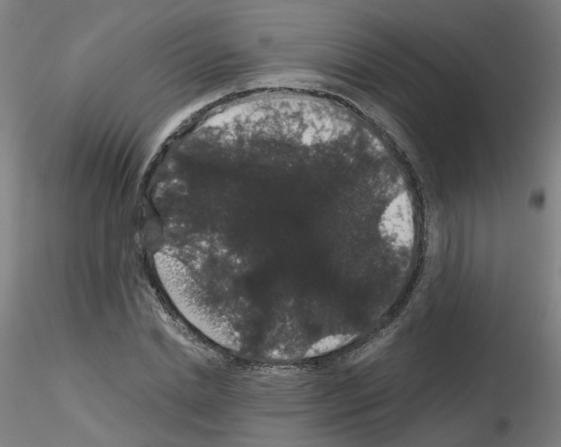 X0000116120830201001040948