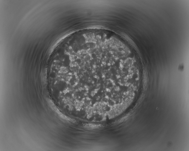 X0000116120831201001040948