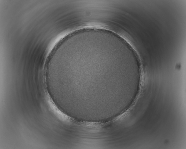 X0000116120832201001040948