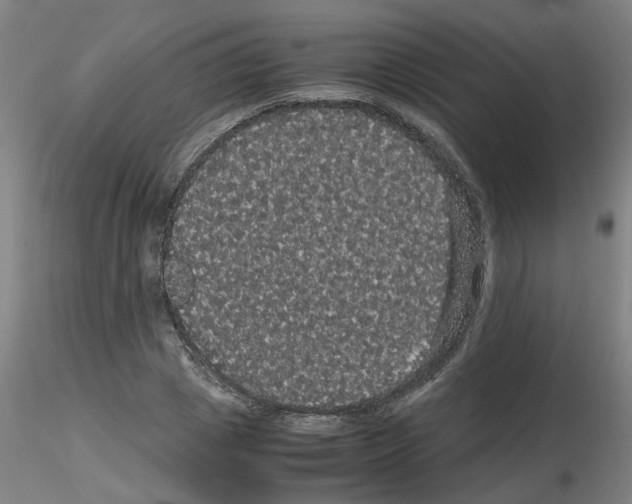 X0000116120833201001040948