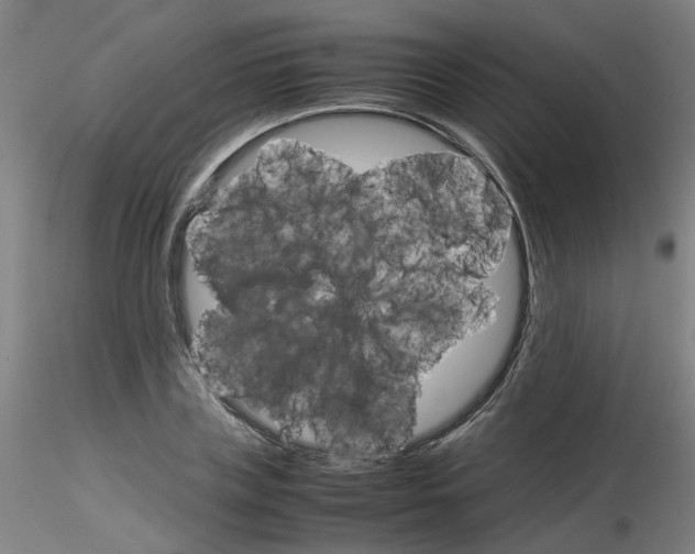 X0000116120835201001040948