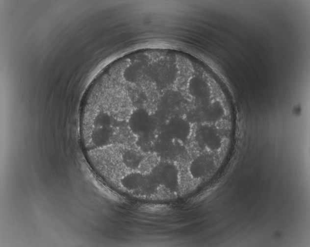 X0000116120837201001040948