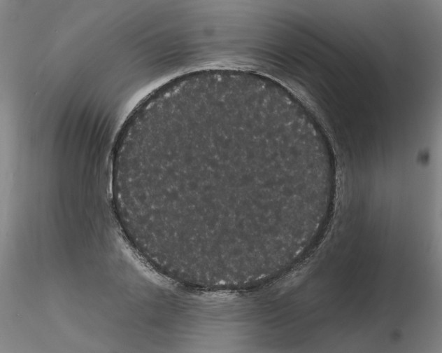 X0000116120838201001040948