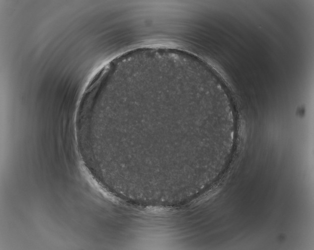 X0000116120840201001040948