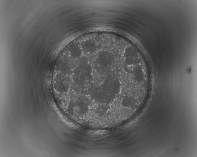X0000116120841201001040949