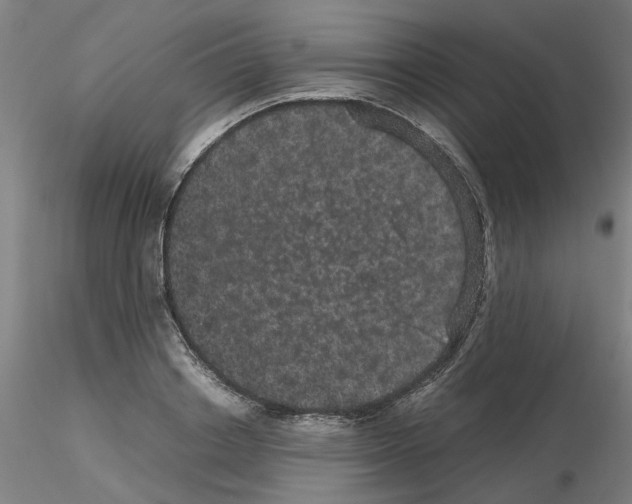 X0000116120842201001040949