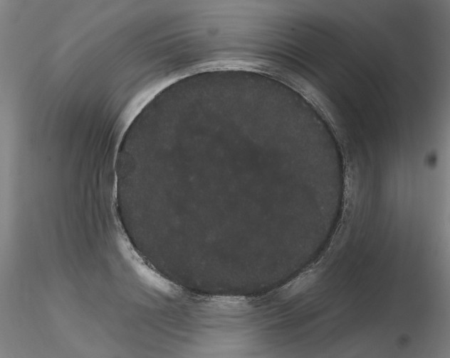 X0000116120844201001040949