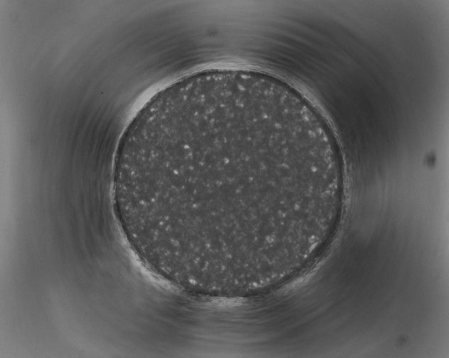 X0000116120845201001040949