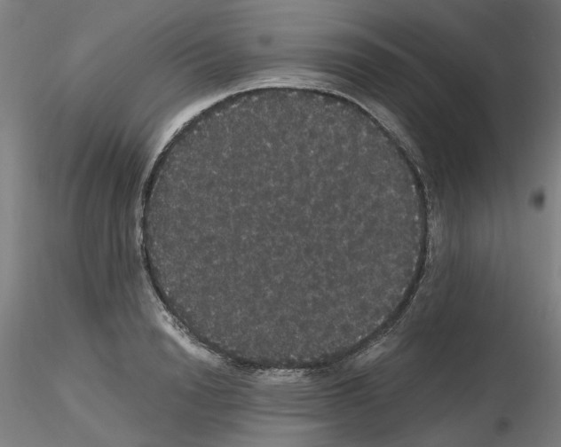 X0000116120846201001040949