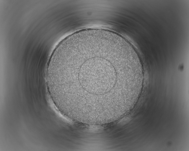 X0000116120848201001040949