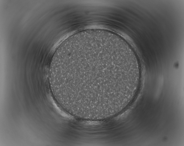X0000116120849201001040949