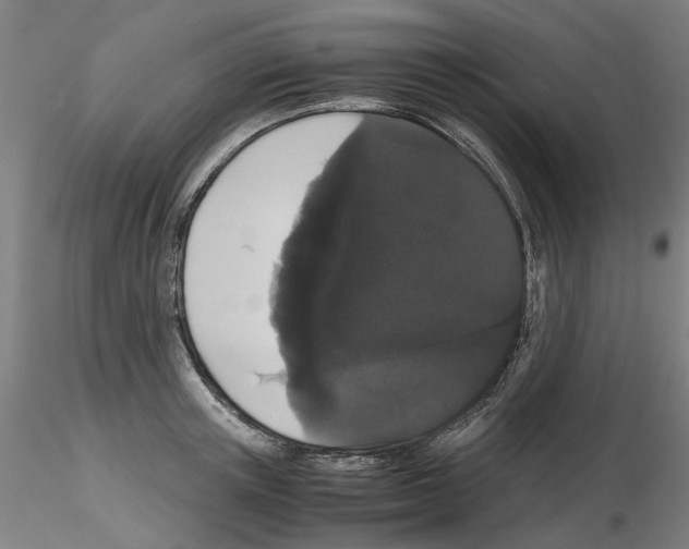 X0000116120851201001040949