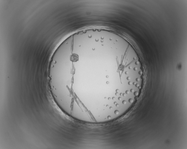 X0000116120852201001040949