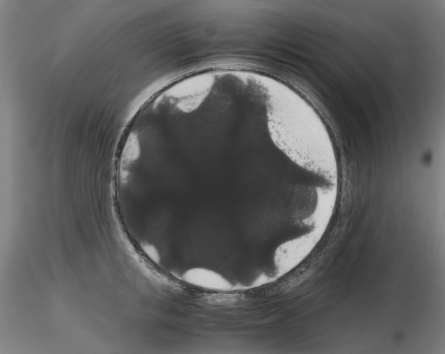 X0000116120853201001040949