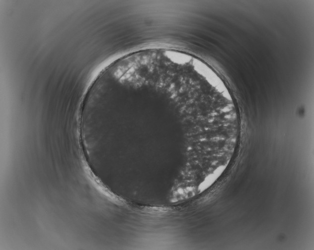 X0000116120854201001040949