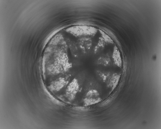 X0000116120855201001040949