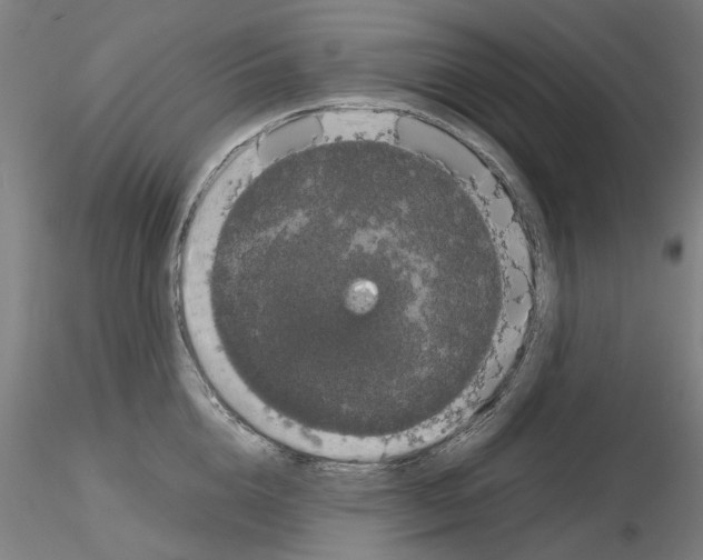 X0000116120856201001040949