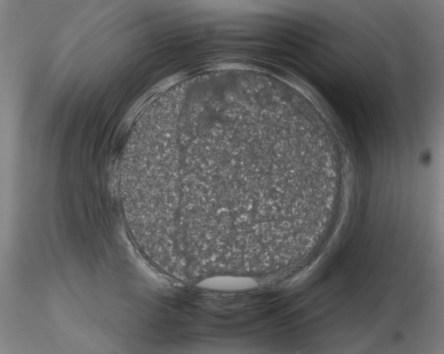 X0000116120857201001040949