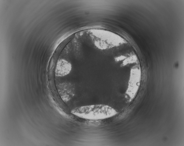 X0000116120858201001040949