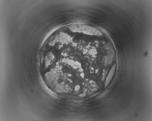 X0000116120859201001040949
