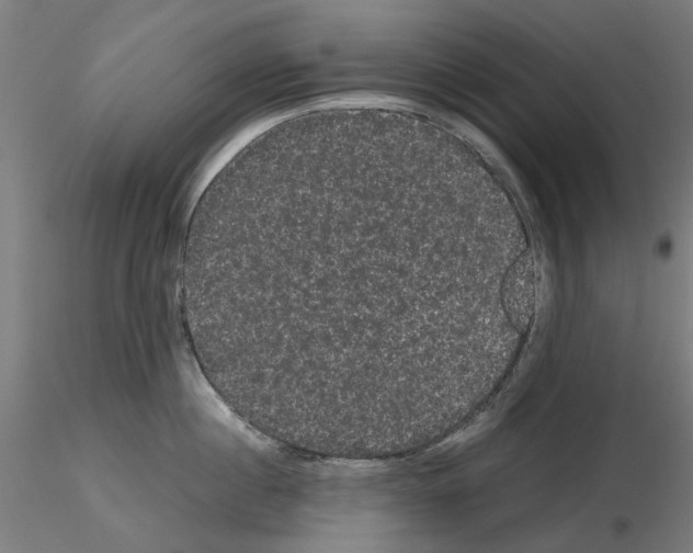 X0000116120860201001040949