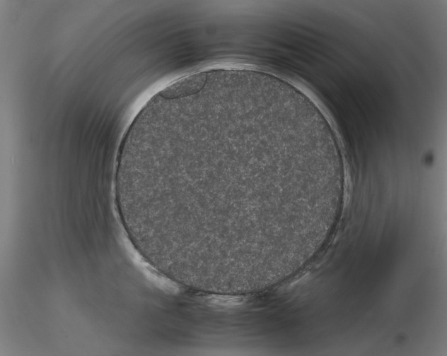 X0000116120861201001040949
