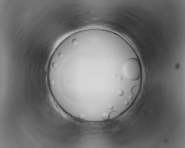 X0000116120862201001040949
