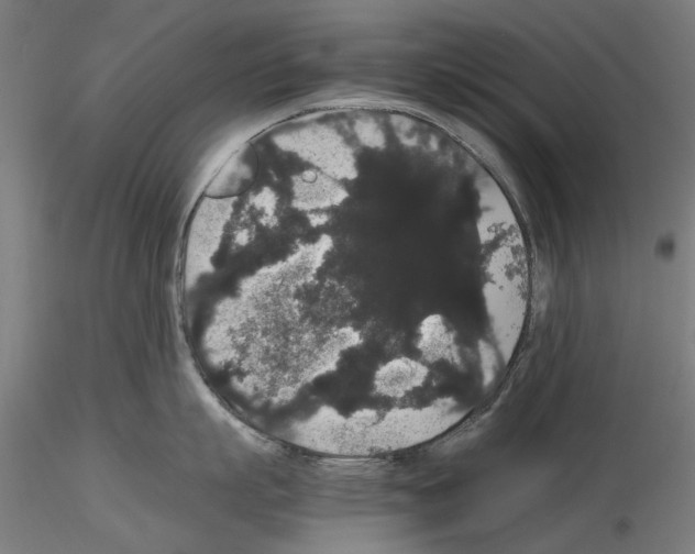 X0000116120863201001040949